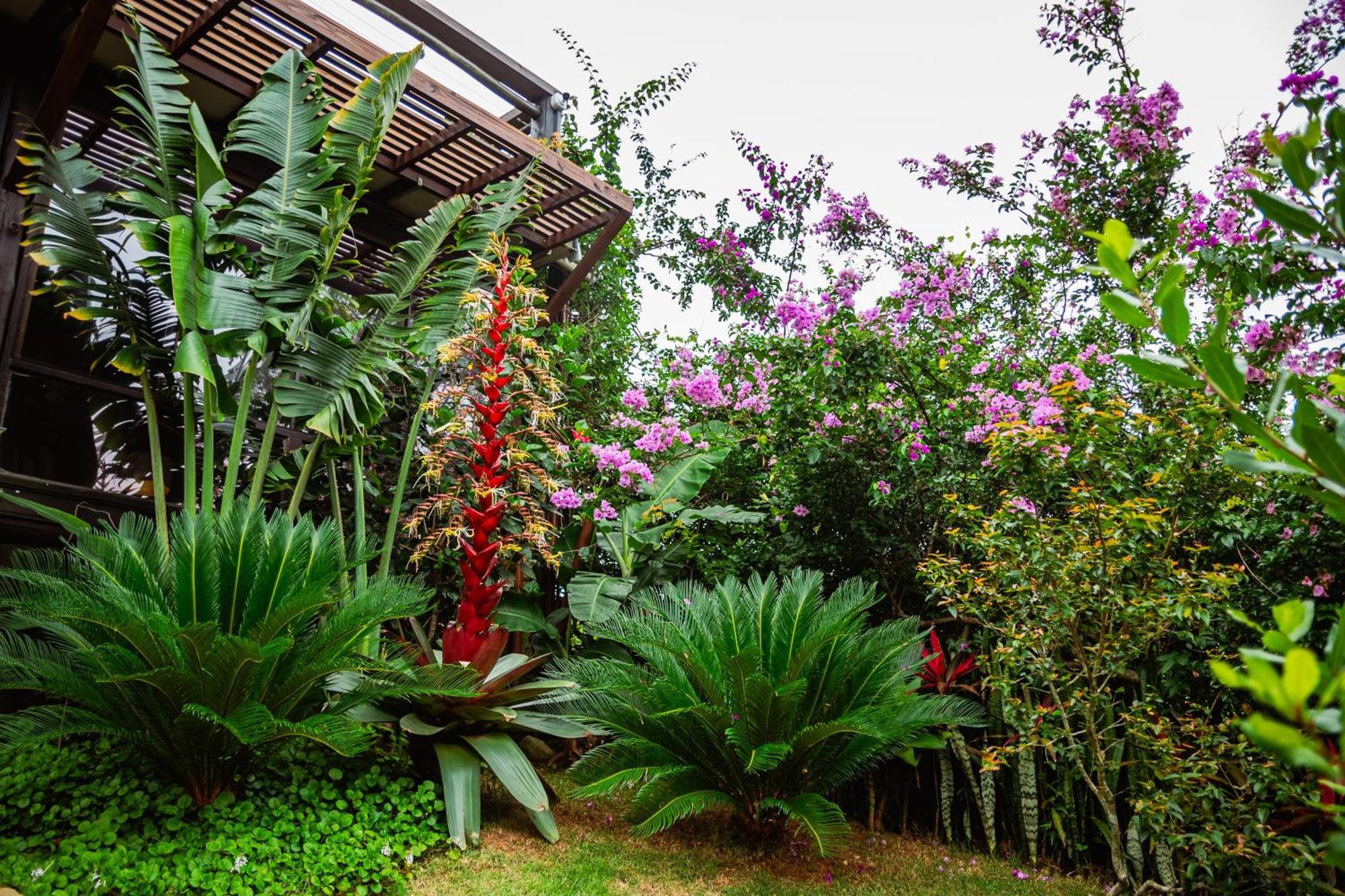 Villa Ibiraquera Life Praia do Rosa Esterno foto